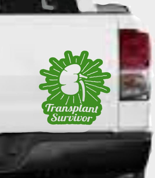“Kidney Transplant Survivor" vinyl car window decal, white, 10‑inch width, die‑cut with no background