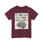 My Life Feels Like a Test I Didn’t Study For Tee | USAVinyls