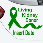 “Green ‘Living Kidney Donor’ awareness car decal on light tailgate, 20‑inch width”