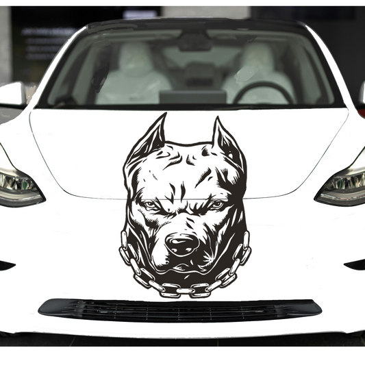 Pitbull Decal, Pitty
