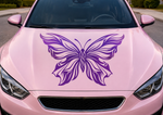 Purple butterfly vinyl decal on pink car