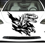 Raptor vinyl decal in black vinyl on white car hood