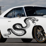 “Black matte snake accent car decal centered on car  high‑contrast on light paint”