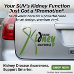  “Kidney Disease Awarenes" vinyl car decal, green/black text with green ribbon, 9‑inch width, die‑cut with no background”