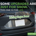 “Living Organ Donor" glossy aluminum license plate frame, 12.3×6.5, pre‑drilled holes, silver backing