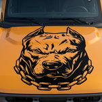 “Pitbull (Pitty) vinyl car/wall decal, white, 30×21.5 in, die‑cut with no background on wall