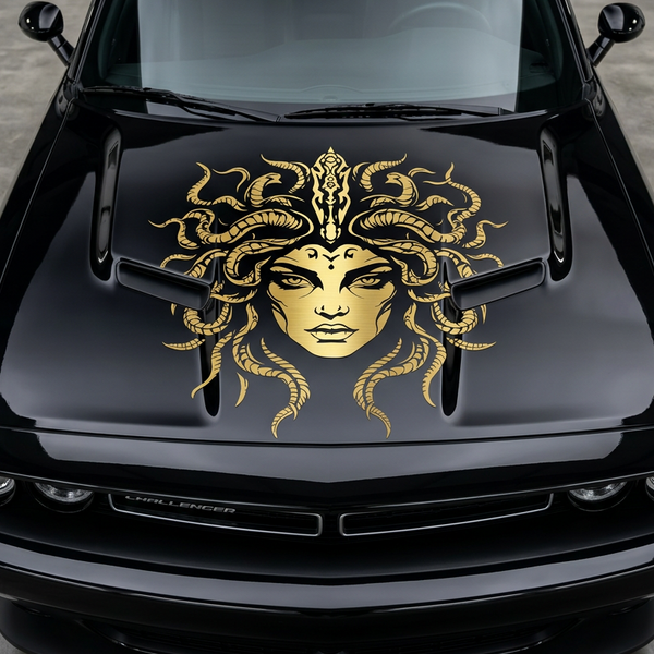 Image of Medusa using die-cut vinyl in gold, 29" x29"