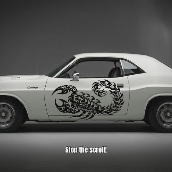 Scorpion vinyl decal video