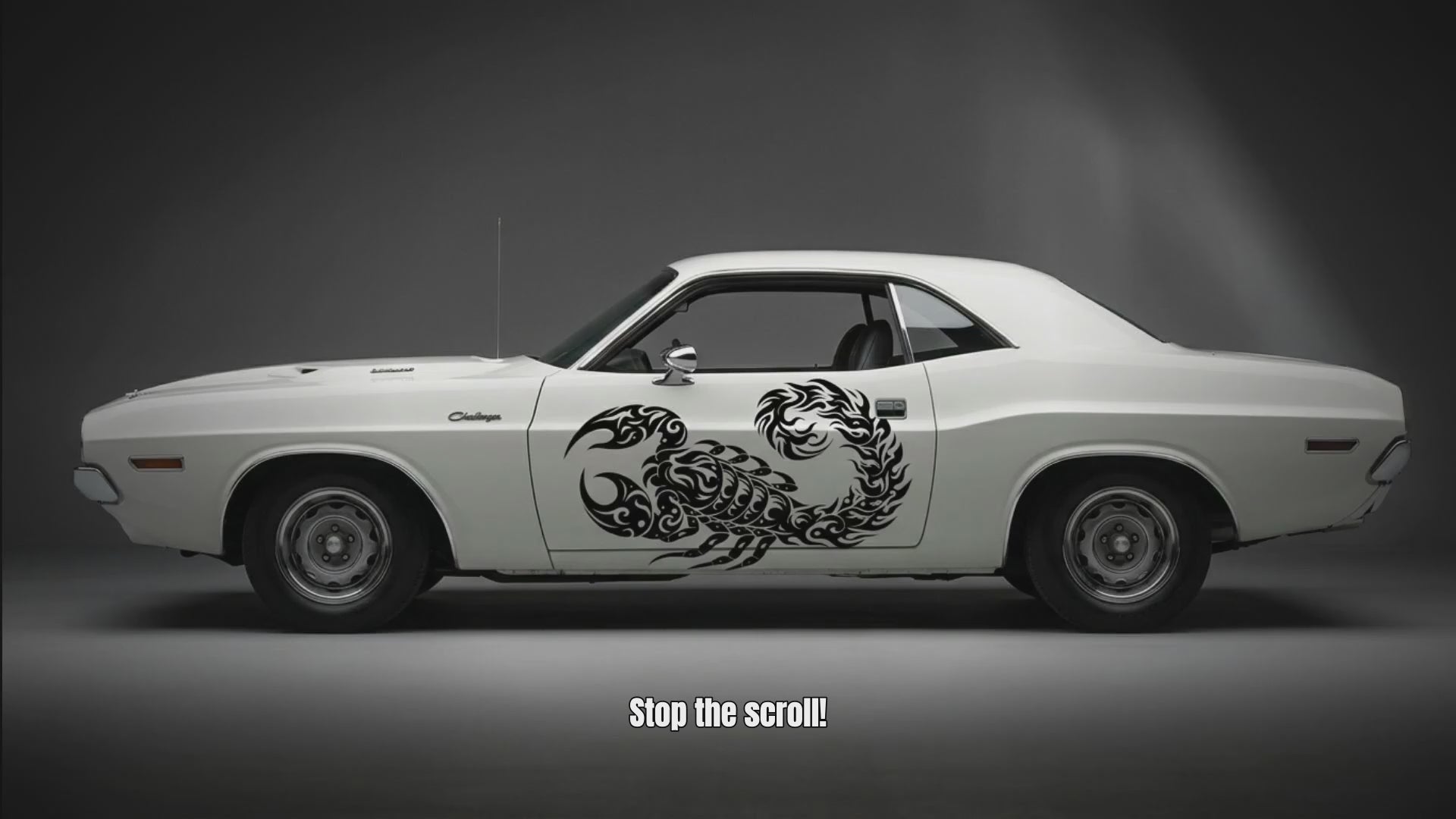 Scorpion vinyl decal video