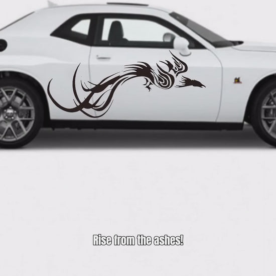 Phoenix vinyl decal video