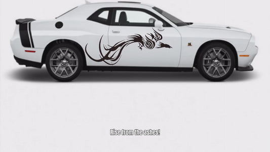 Phoenix vinyl decal video