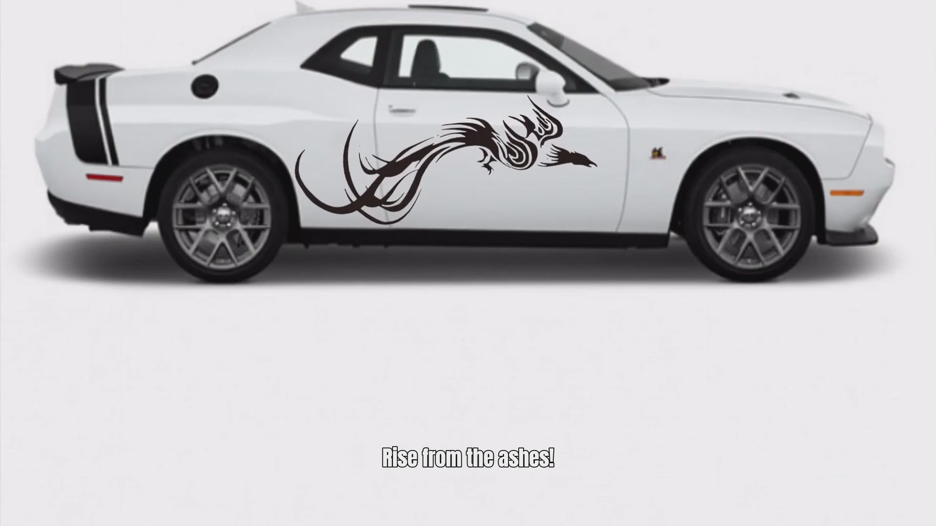 Phoenix vinyl decal video
