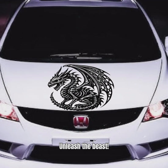dragon skeleton vinyl decal video