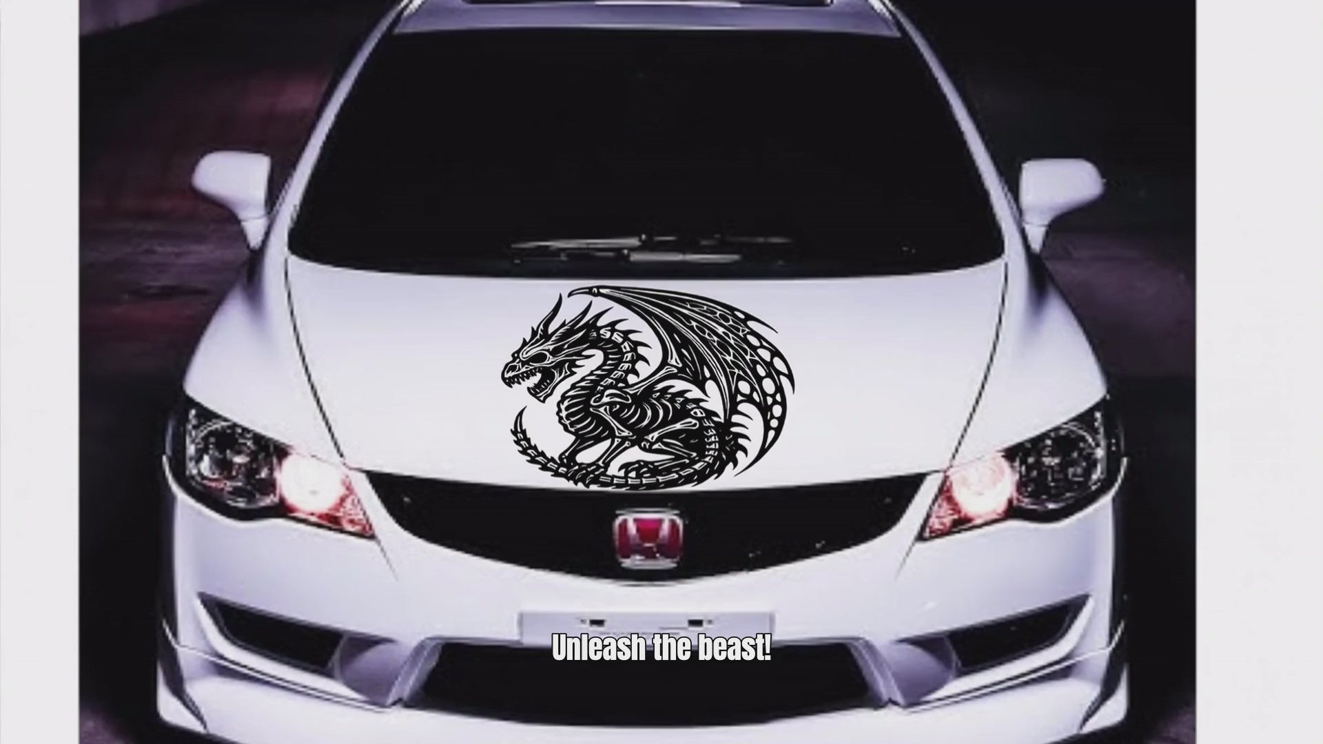 dragon skeleton vinyl decal video