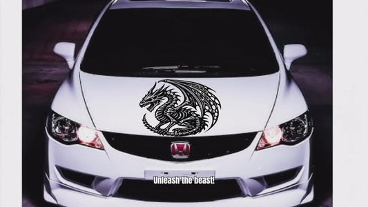 dragon skeleton vinyl decal video