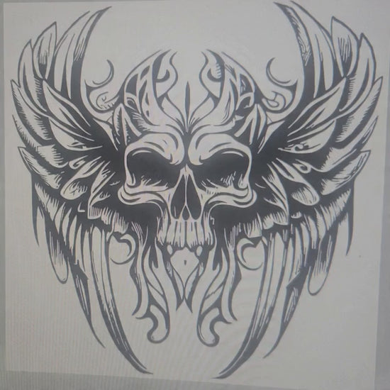 skull with wings video