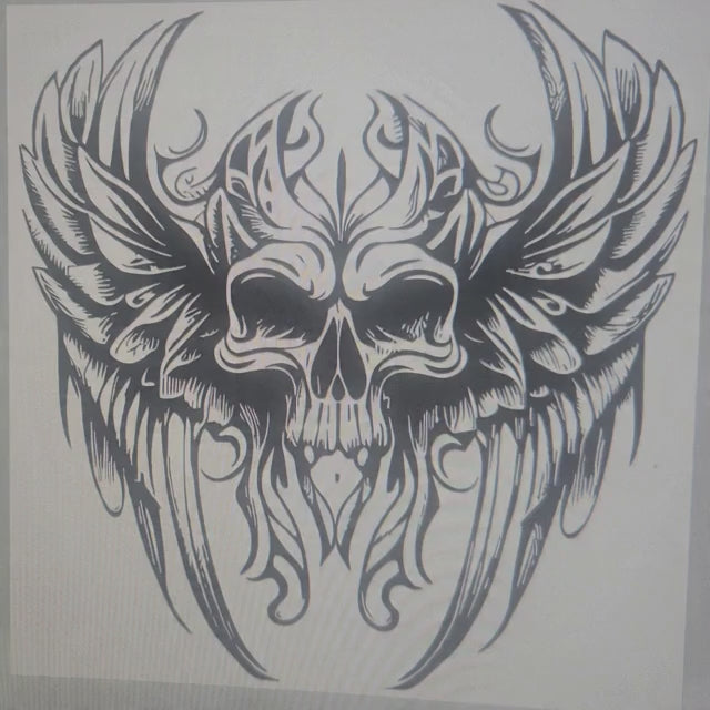skull with wings video