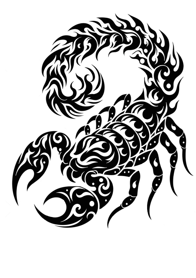 Scorpion Sticker, Scorpion Tribal