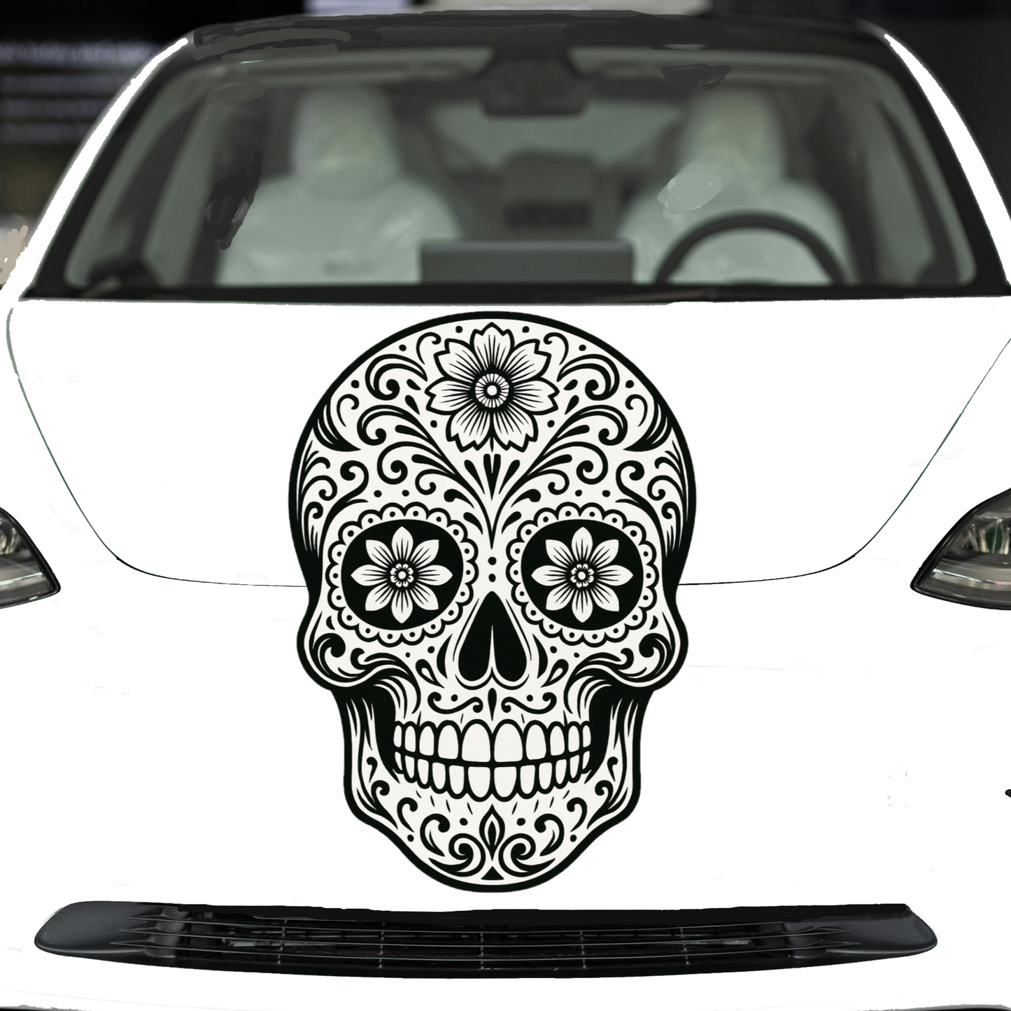White car with a decorative skull decal on the front