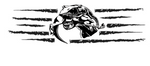 T‑Rex eating raptor vinyl car decal, black on white truck bedside, die‑cut with no background