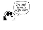 Organ Donation Decal,Transplant Decal,Vinyl Decal, Donate Life, Donate Kidney Decal, Living Donor, Recycle Yourself,Kidney Needed, USAVinyls