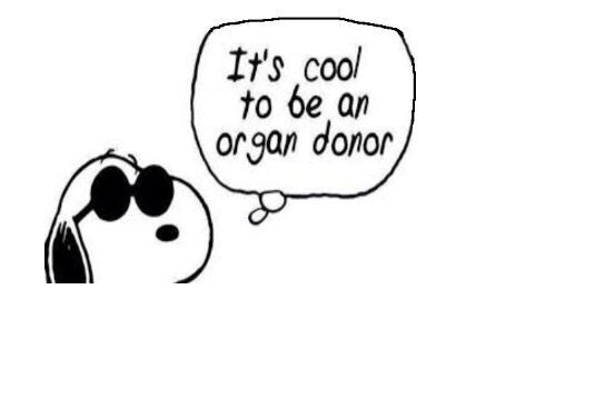 Organ Donation Decal,Transplant Decal,Vinyl Decal, Donate Life, Donate Kidney Decal, Living Donor, Recycle Yourself,Kidney Needed, USAVinyls