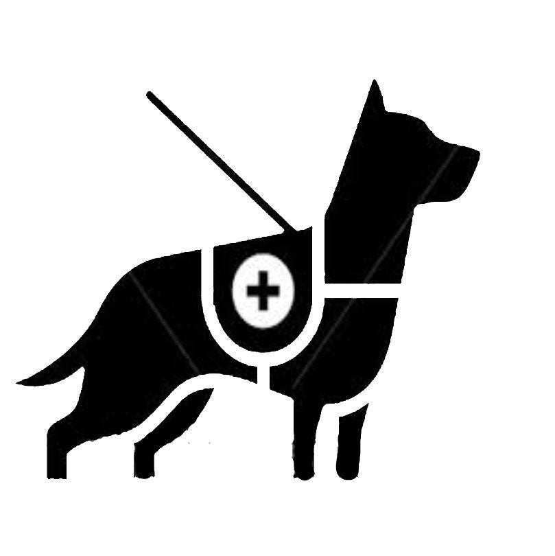 MULTIPLE CHOICES Pet Vinyl Decal, Seizure Dog Decal, Service Dog Decal, Service Dog, Seizure Dog, Special Dog, Trained Dog, USAVinyls