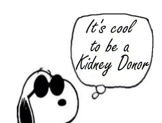 Organ Donation Decal,Transplant Decal,Vinyl Decal, Donate Life, Donate Kidney Decal, Living Donor, Recycle Yourself,Kidney Needed, USAVinyls