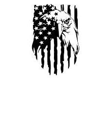 American Flag Decal, American Flag Sticker, American Flag with Eagle Decal, American Flag with Eagle Sticker, Patriotic Decal, Patriotic