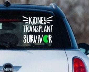 “Kidney Transplant Survivor" vinyl car window decal, white text with green kidney, 10×10 in, die‑cut with no background