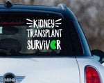 “Kidney Transplant Survivor" vinyl car window decal, white text with green kidney, 10×10 in, die‑cut with no background
