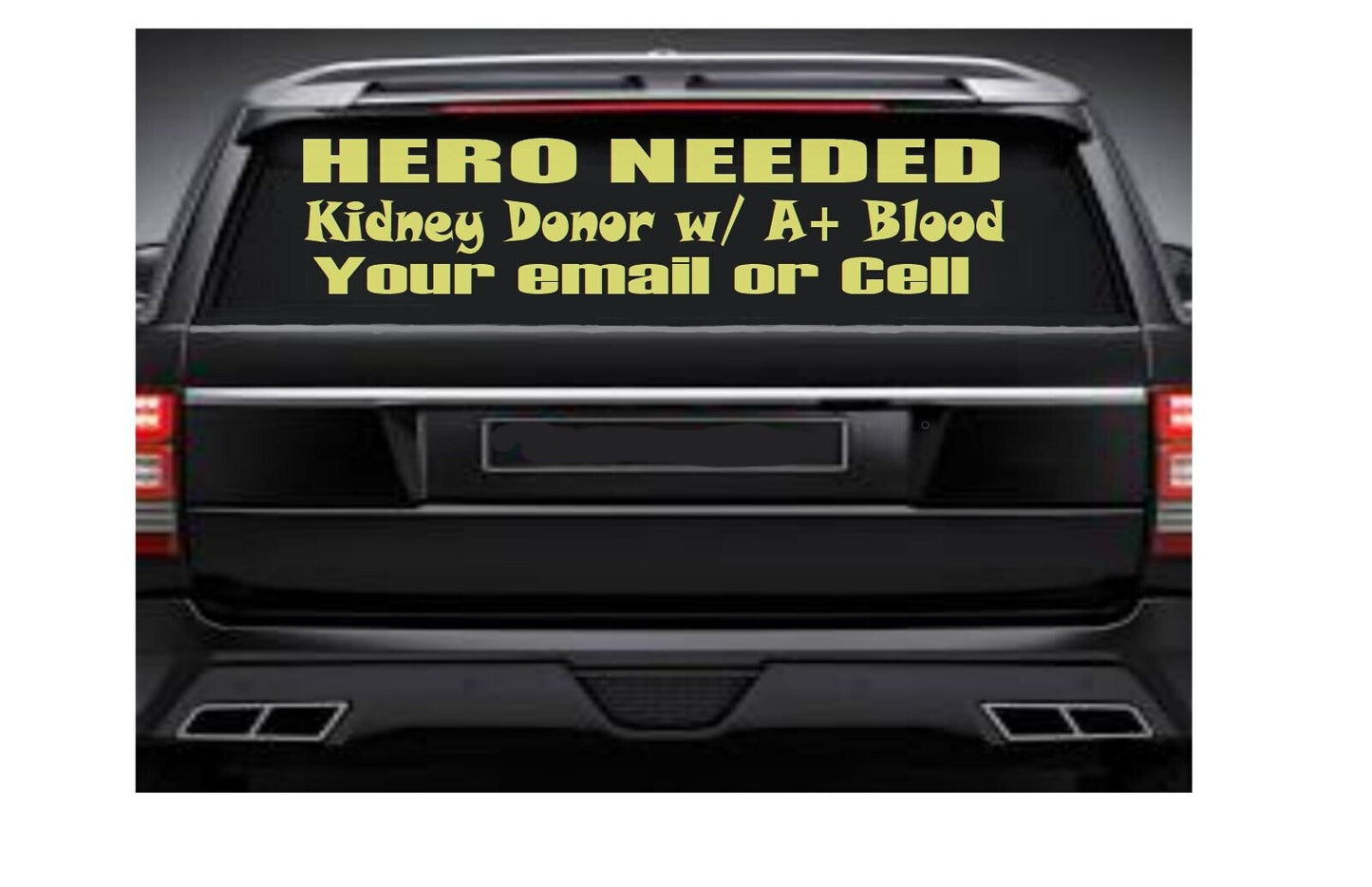 Advertise for a Kidney Donor, Search for a Kidney Donor, Find a Kidney Donor, Hero Needed, Kidney Hero Kidney Donor Decal, Share Kidney