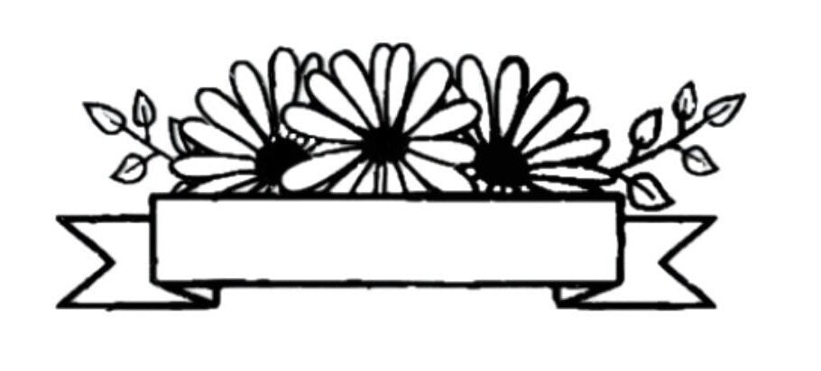 Mailbox Decal with Daisies and Banner, Mailbox Sticker with Daisies and Banner, Mailbox Daisies, Mailbox Flower, Custom Mailbox Decal